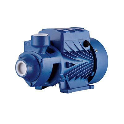 কাস্ট আয়রন ঘূর্ণি পাম্প